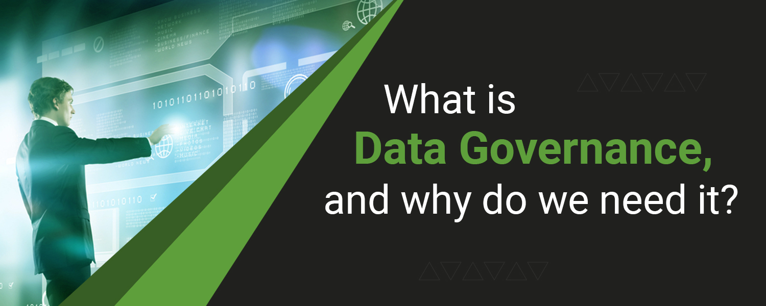 Master data governance